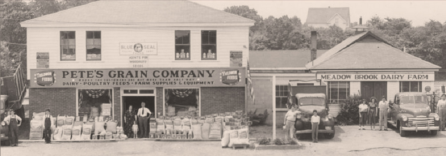 history-of-petes-grain