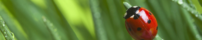 seasonal products summer banner
