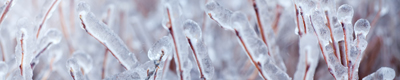 seasonal products winter banner